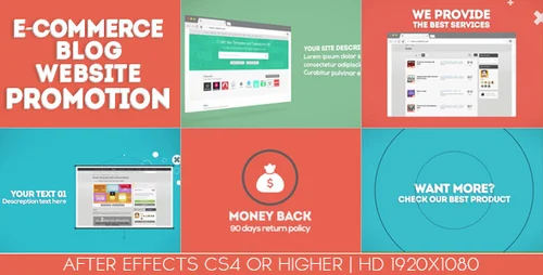 E-commerce / Blog / Website Promotion