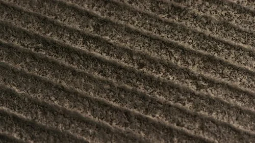 Textured Surface with Parallel Grooves